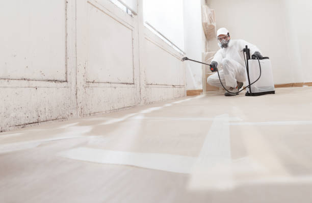 24/7 Emergency Attic Mold Remediation experts in Remington, VA